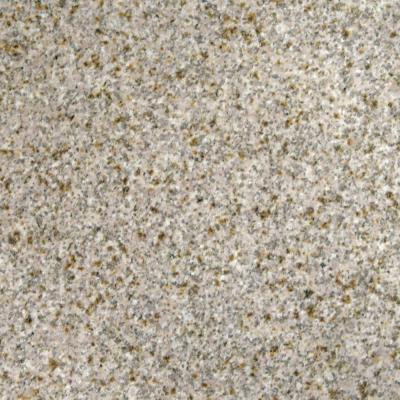 MS International Gold Rush 12 in. x 12 in. Polished Granite Floor and Wall Tile (5 sq. ft. / case)