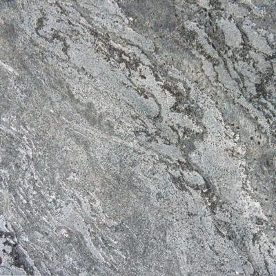 MS International Ostrich Grey 16 in. x 16 in. Honed Quartzite Floor and Wall Tile (8.9 sq. ft. / case)
