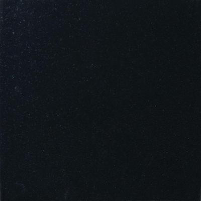 MS International Absolute Black 12 in. x 12 in. Polished Granite Floor and Wall Tile (10 sq. ft. / case)