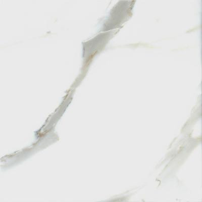 MS International Calacatta Gold 12 in. x 12 in. Polished Marble Floor and Wall Tile (10 sq. ft. / case)