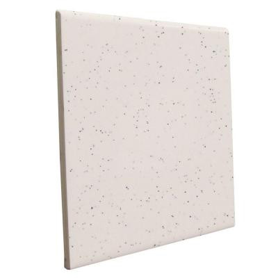 U.S. Ceramic Tile Bright Granite 6 in. x 6 in. Ceramic Surface Bullnose Wall Tile-DISCONTINUED