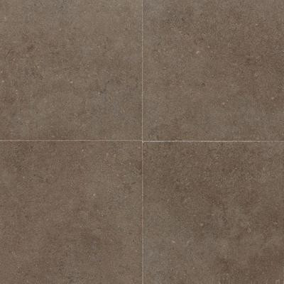 Daltile City View Neighborhood Park 12 in. x 12 in. Porcelain Floor and Wall Tile (10.65 sq. ft. / case)