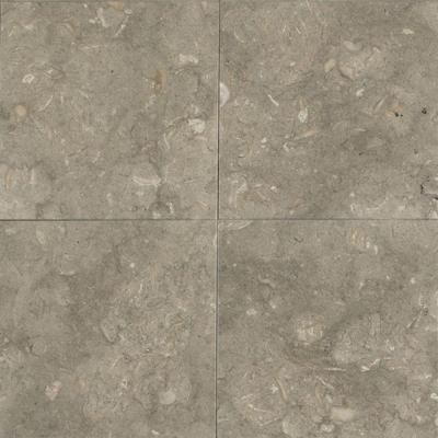 Daltile Caspian Shellstone 12 in. x 12 in. Polished Natural Stone Floor and Wall Tile (10 sq. ft. / case)