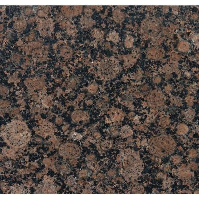 MS International Baltic Brown 12 in. x 12 in. Polished Granite Floor and Wall Tile (10 sq. ft. / case)