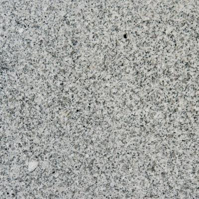 MS International White Sparkle 12 in. x 12 in. Polished Granite Floor and Wall Tile (5 sq. ft. / case)