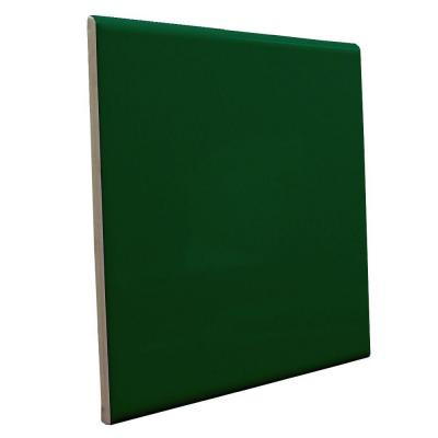 U.S. Ceramic Tile Bright Kelly 6 in. x 6 in. Ceramic Surface Bullnose Corner Wall Tile-DISCONTINUED