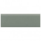 Daltile Semi-Gloss 2 in. x 6 in. Cypress Ceramic Bullnose Wall Tile-DISCONTINUED
