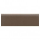Daltile Semi-Gloss Artisan Brown 2 in. x 6 in. Ceramic Bullnose Wall Tile-DISCONTINUED
