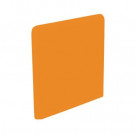 U.S. Ceramic Tile Color Collection Bright Tangerine 3 in. x 3 in. Ceramic Surface Bullnose Corner Wall Tile-DISCONTINUED