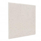 U.S. Ceramic Tile Bright Granite 6 in. x 6 in. Ceramic Surface Bullnose Corner Wall Tile-DISCONTINUED