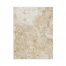 Daltile Fidenza Bianco 9 in. x 12 in. Ceramic Floor and Wall Tile (11.25 sq. ft. / case)