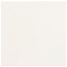 Daltile Colour Scheme Arctic White Solid 18 in. x 18 in. Porcelain Floor and Wall Tile (18 sq. ft. / case)