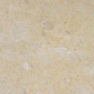 MS International Desert Sand 12 in. x 12 in. Polished Marble Floor and Wall Tile (10 sq. ft. / case)