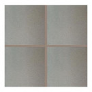 Daltile Quarry Ashen Flash 8 in. x 8 in. Ceramic Floor and Wall Tile (11.11 sq. ft. / case)
