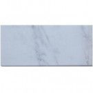 Splashback Tile Oriental 24 in. x 12 in. Marble Floor and Wall Tile-DISCONTINUED