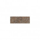 Daltile Castanea Porfido 3 in. x 10-1/2 in. Porcelain Bullnose Floor and Wall Tile - DISCONTINUED