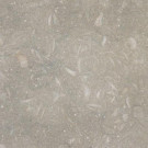 MS International Nova Verde 12 in. x 12 in. Honed Limestone Floor and Wall Tile (10 sq. ft. / case)
