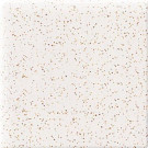 Daltile Semi-Gloss Golden Granite 2 in. x 2 in. Ceramic Bullnose Corner Wall Tile
