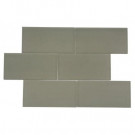 Splashback Tile Contempo Natural White Polished 3 in. x 6 in. Glass Tiles-DISCONTINUED
