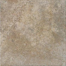 Daltile Alta Vista Drift Wood 18 in. x 18 in. Porcelain Floor and Wall Tile (18 sq. ft. / case)