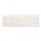 Daltile Semi-Gloss Golden Granite 2 in. x 6 in. Ceramic Bullnose Wall Tile